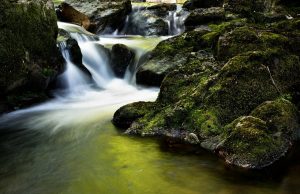 Schöne Natur mit kleinem Wasserfall