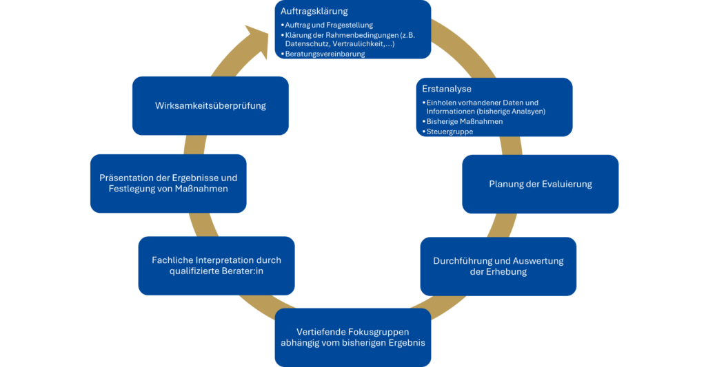 Prozesshafte Darstellung eines Evaluierungsprozesses in Sportorganisationen. Hier kann der Sport-, Arbeits- und Organisationspsychologe Mario Schuster weiterhelfen