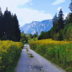 Ein Rückblick - Ein Weg von 2017 bis 2025